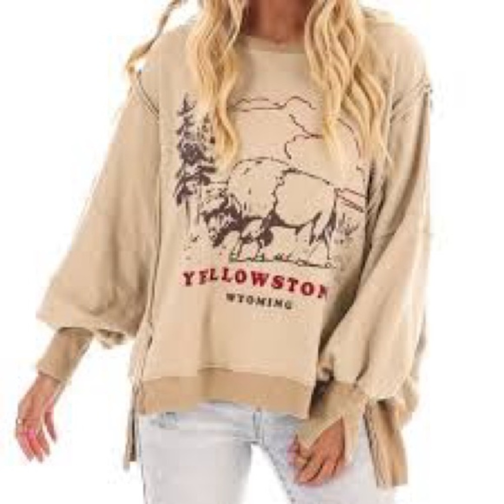 Free People Beige Yellowstone Graphic Long Sleeve Tee - Picture 8 of 14